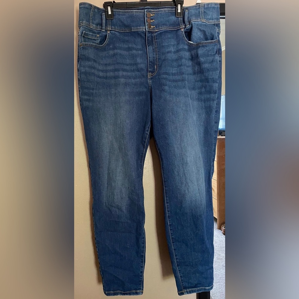 Lane Bryant Skinny Jean